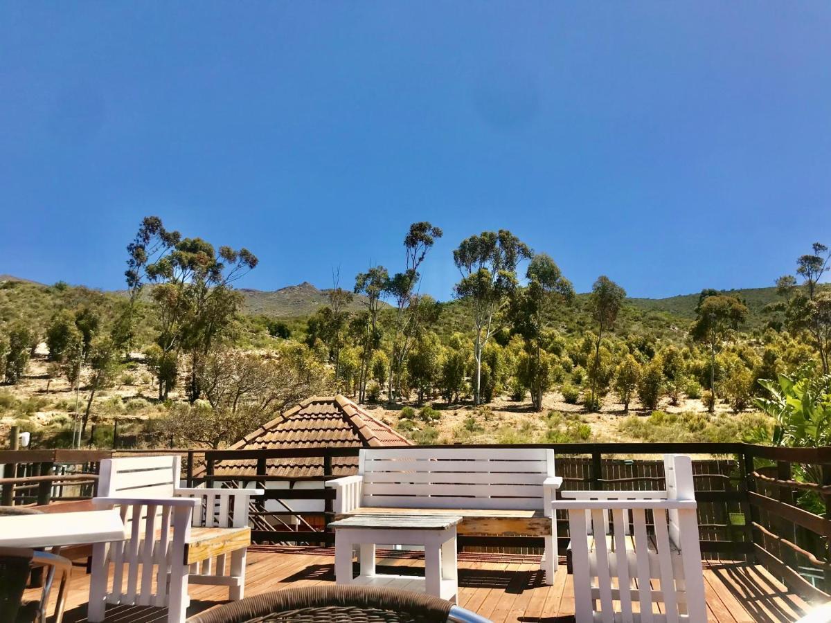 Mountain View Eco Lodge Монтегю Экстерьер фото