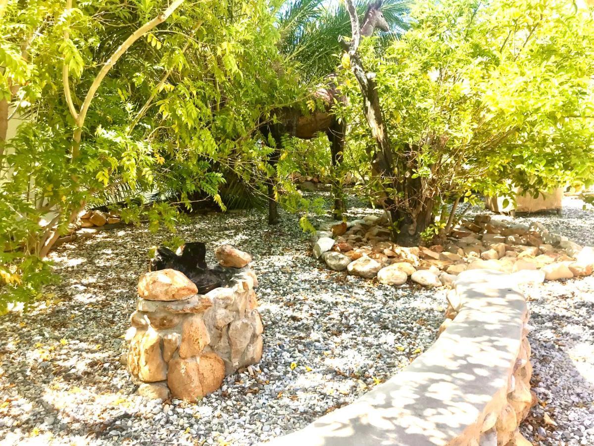 Mountain View Eco Lodge Монтегю Экстерьер фото