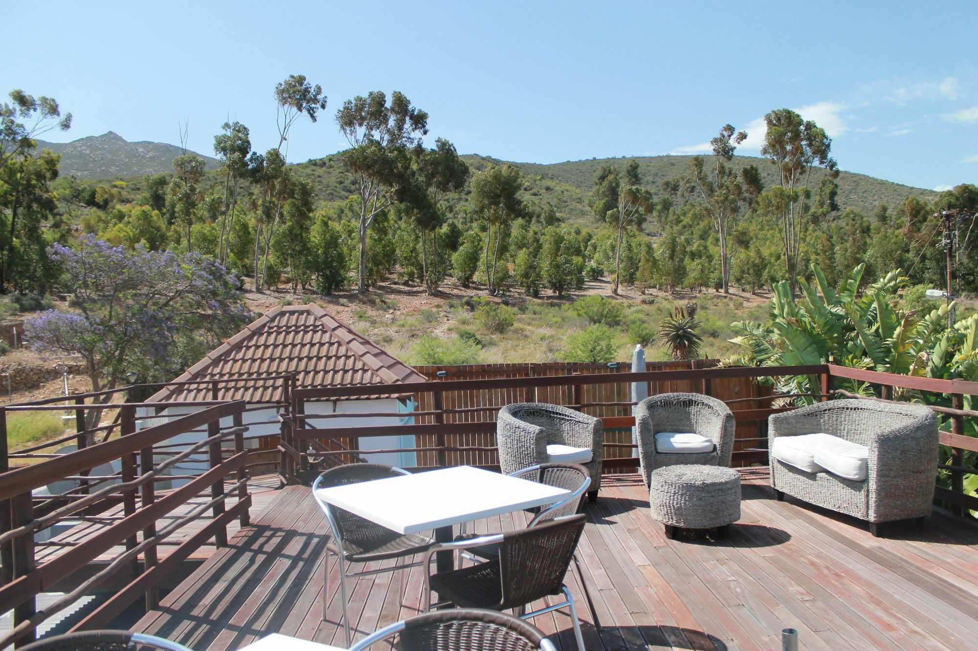 Mountain View Eco Lodge Монтегю Экстерьер фото